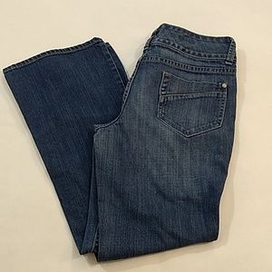 ANA Petite Size 6P Jeans Medium Blue Denim